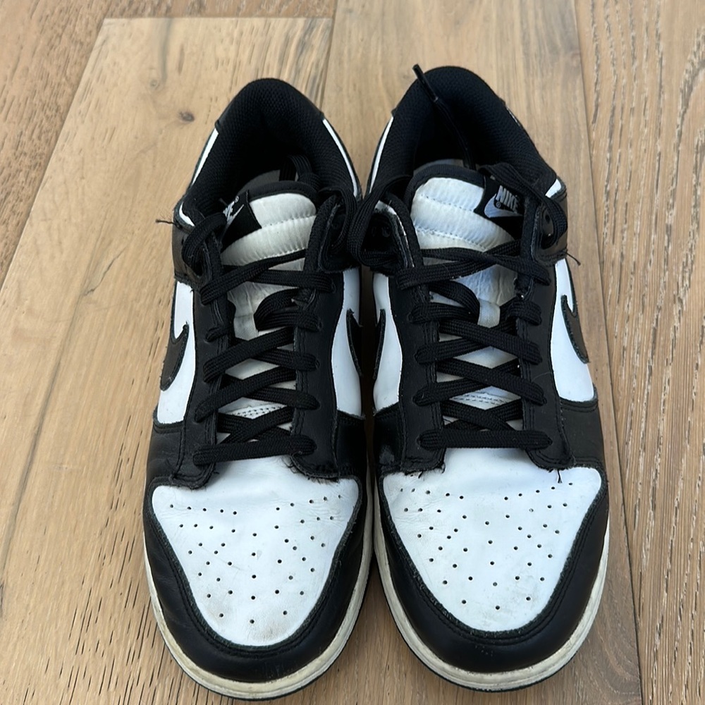 Nike dunk size 10